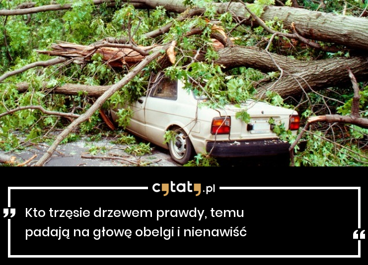 https://cytaty.pl/czlowiek/46280,kto-trzesie-drzewem-prawdy-temu-padaja-na-glowe-obelgi-i/pobierz