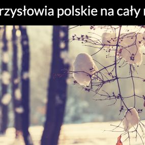 Okładka artykułu Luty - przysłowia polskie na cały miesiąc