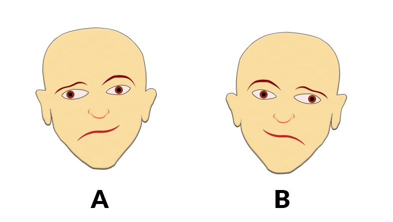 Wybierz szczęśliwszą twarz i dowiedz się, która półkula mózgu jest u Ciebie dominująca!