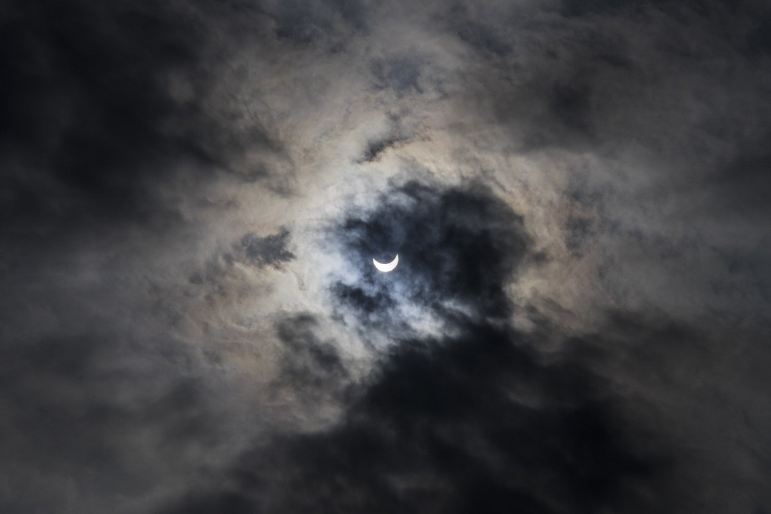 Czy był zwierzęciem, skoro muzyka tak go pociągała?