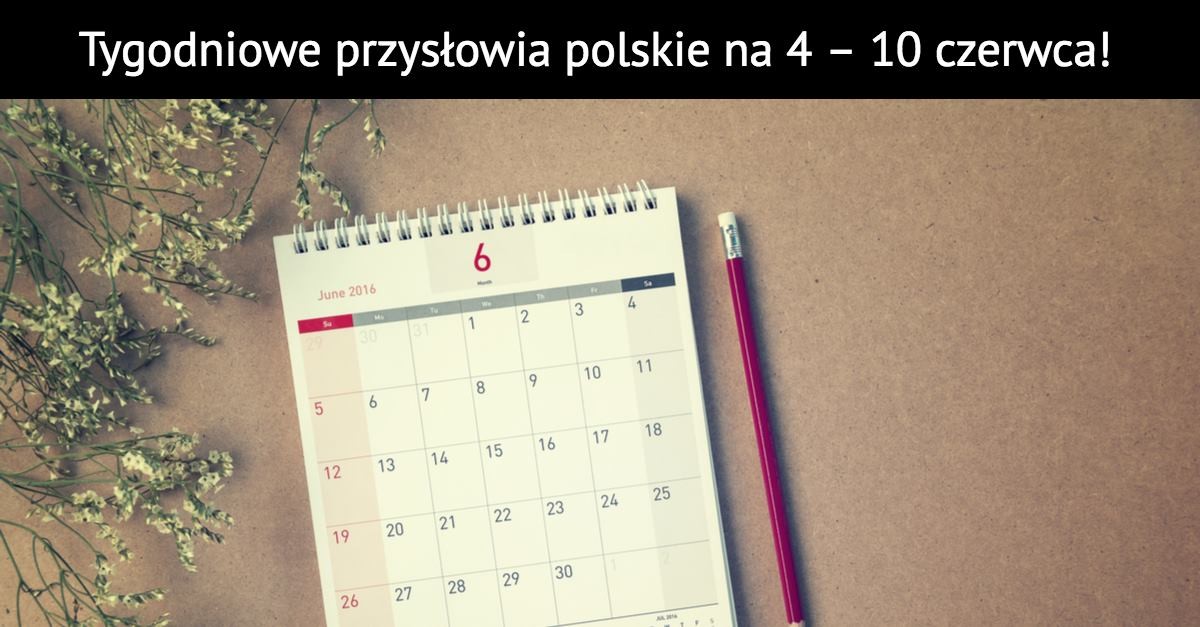 Tygodniowe przysłowia polskie na 4 – 10 Czerwca!