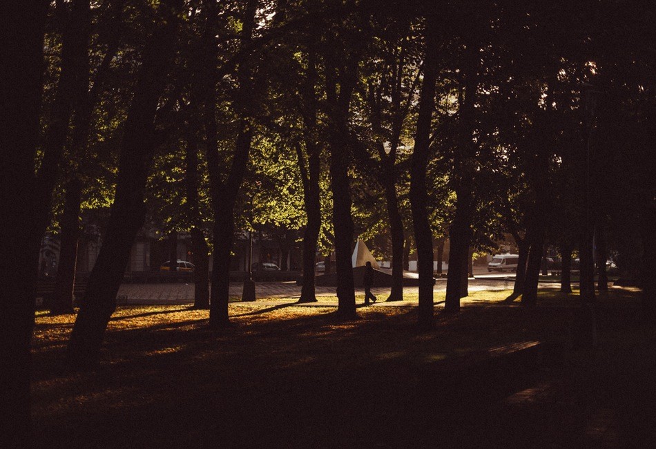 Nawet gdyby bandyci mieli brutalnie ucinać piłą wasze kończyny, ten, …