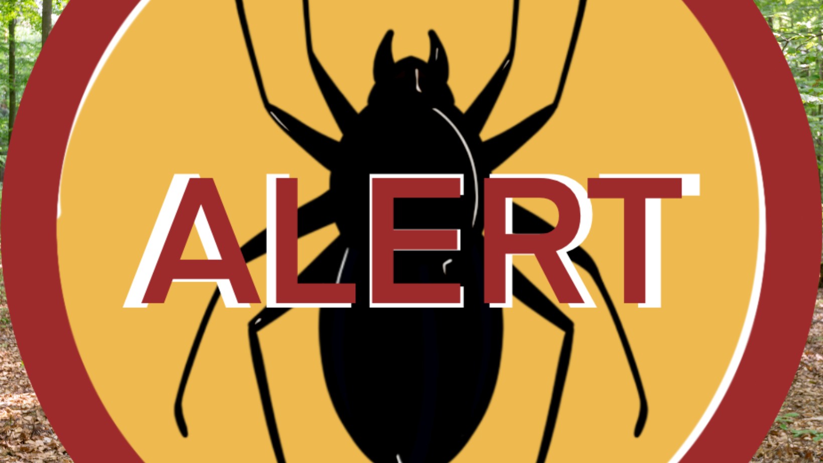 Zdjęcie Śmiertelne niebezpieczeństwo w polskich lasach! Na to trzeba uważać! #1