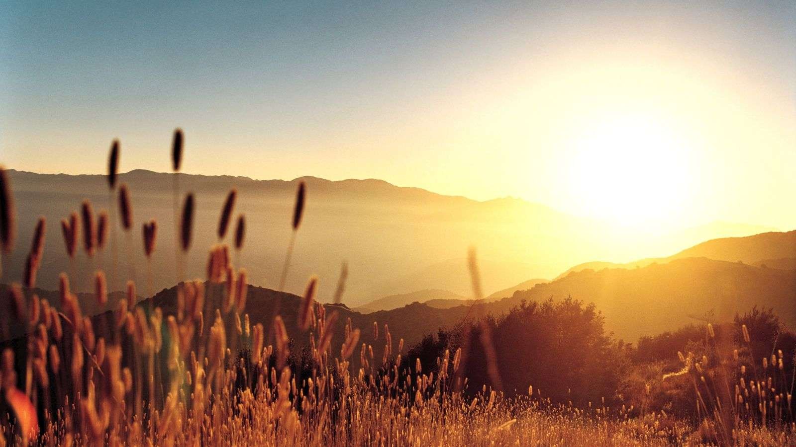 Brakuje mi jej. Nawet gdybyśmy nic do siebie nie mówili, …