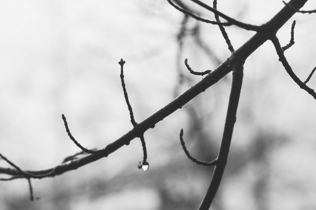 Temperamentem bliska była szaleństwa; jej temperament niektórzy brali za szaleństwo.