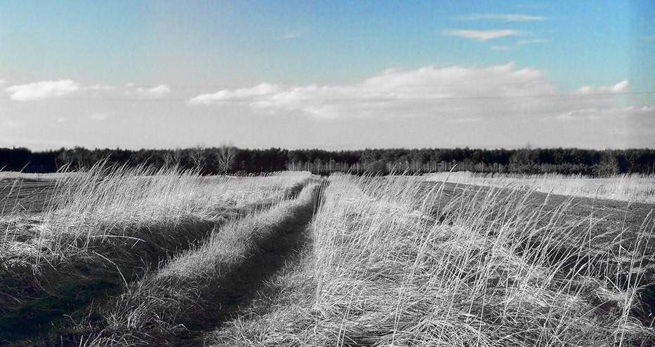 Czasem potrzeba czasu, by zrozumieć pewne sprawy.