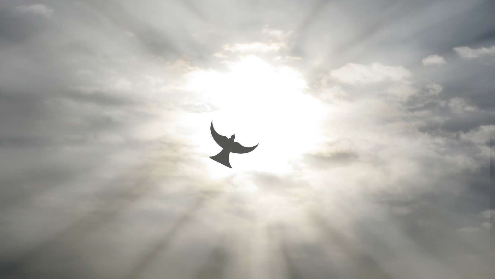 Zdjęcie Jak ma na imię Twój Anioł Stróż? Poznaj go i wykorzystaj jego moc! #1