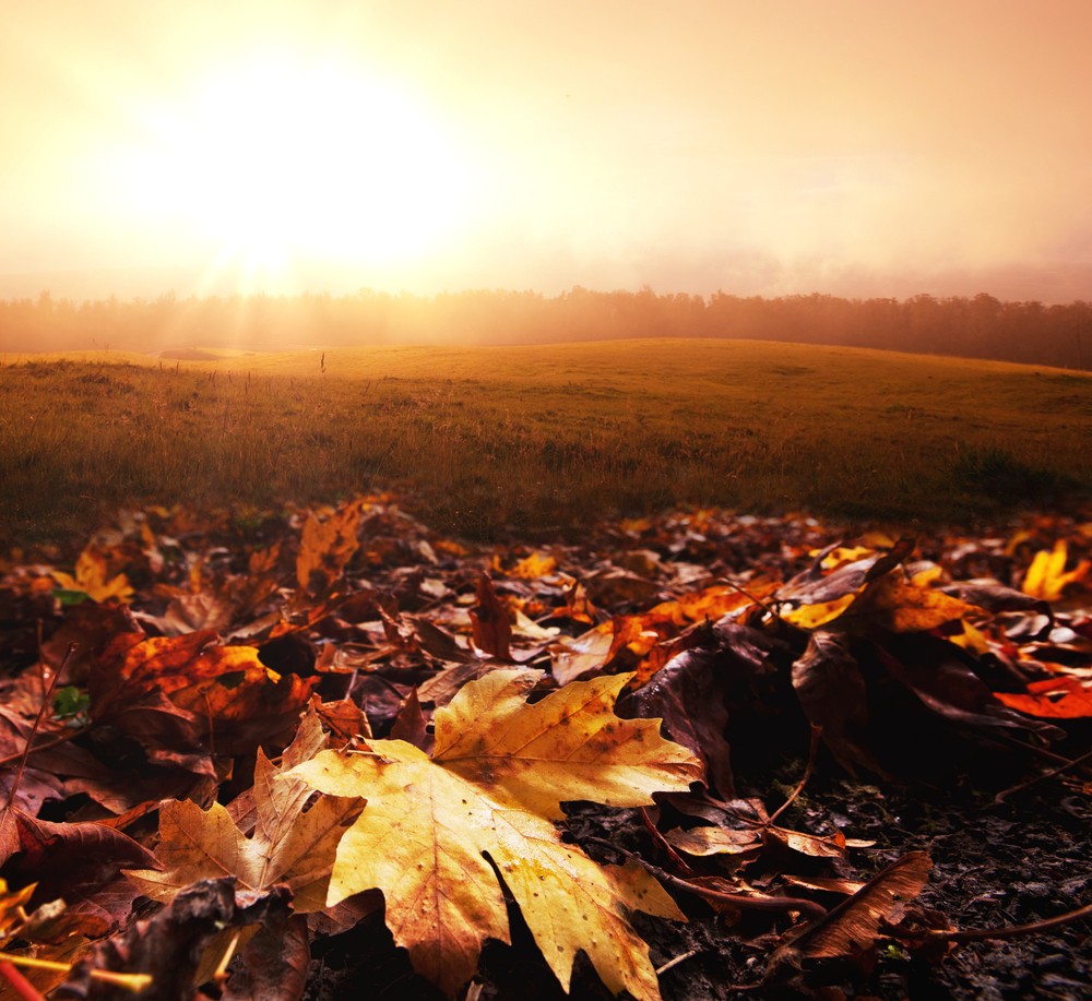 Starzy jesteśmy wtedy, kiedy większość ludzi wolałaby, żebyśmy już nie …