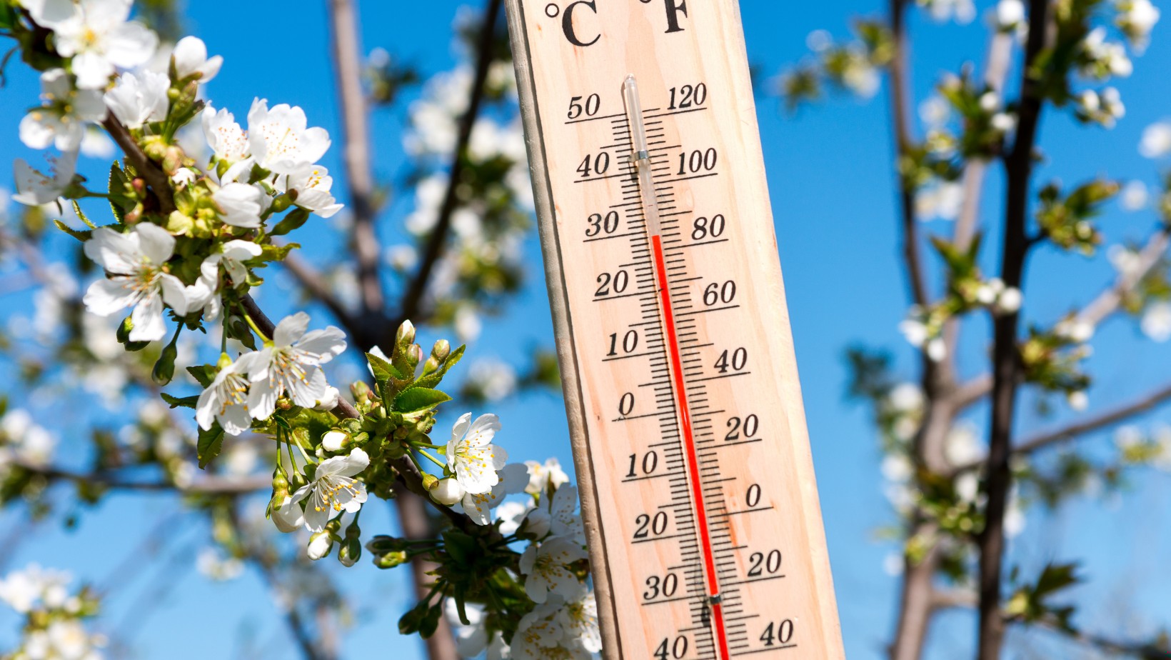 Do kiedy będą przymrozki? IMGW ostrzega!