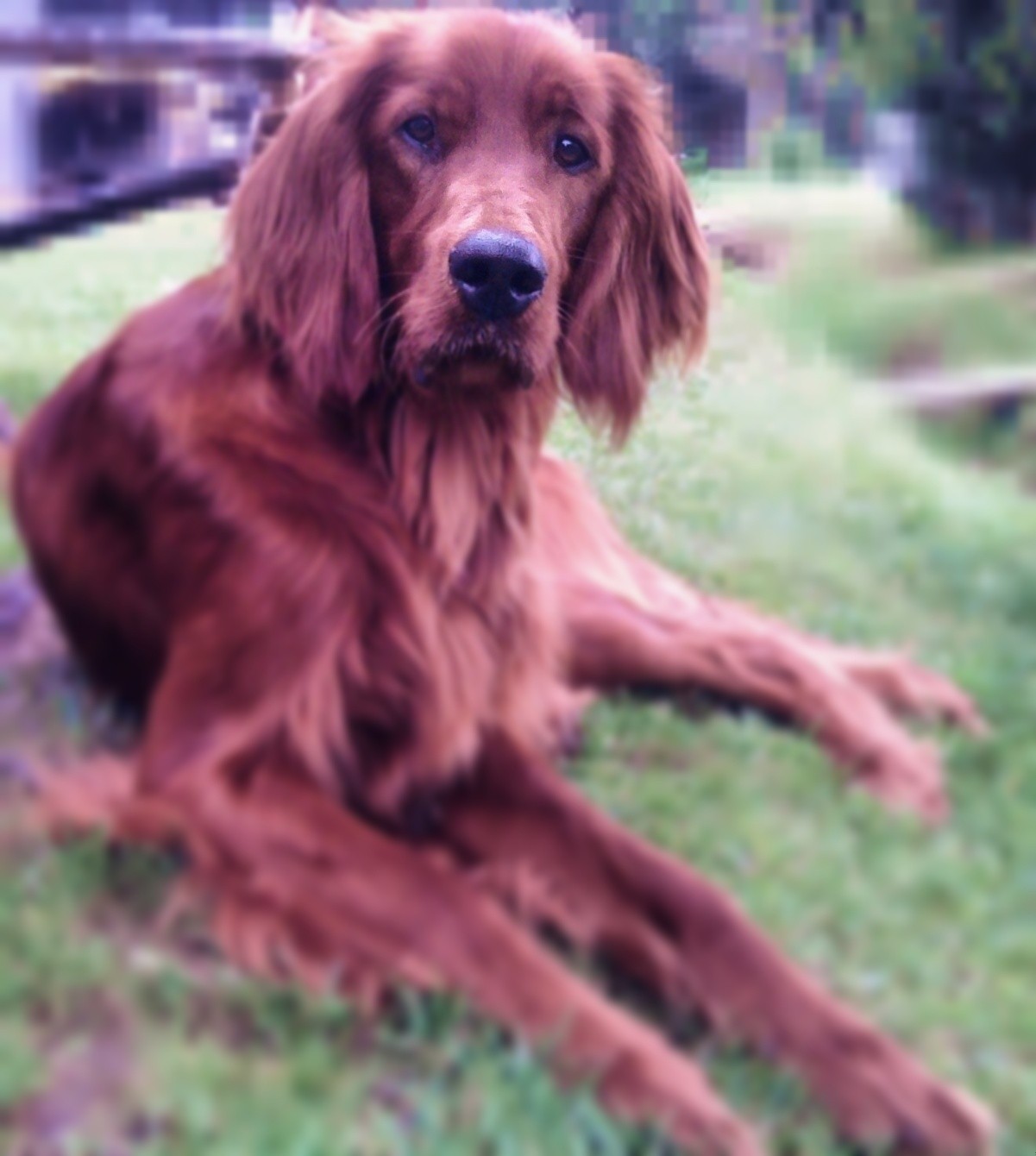 Nawet jeśli Twoje konto jest zerowe, a karta Visa nadaje …