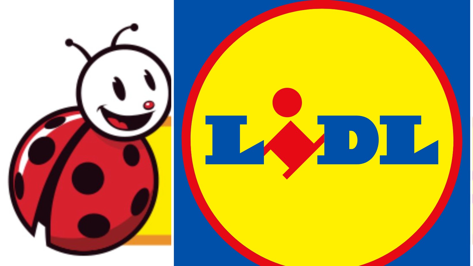 Lidl reaguje na SMSy- Biedronki! Jest oświadczenie!