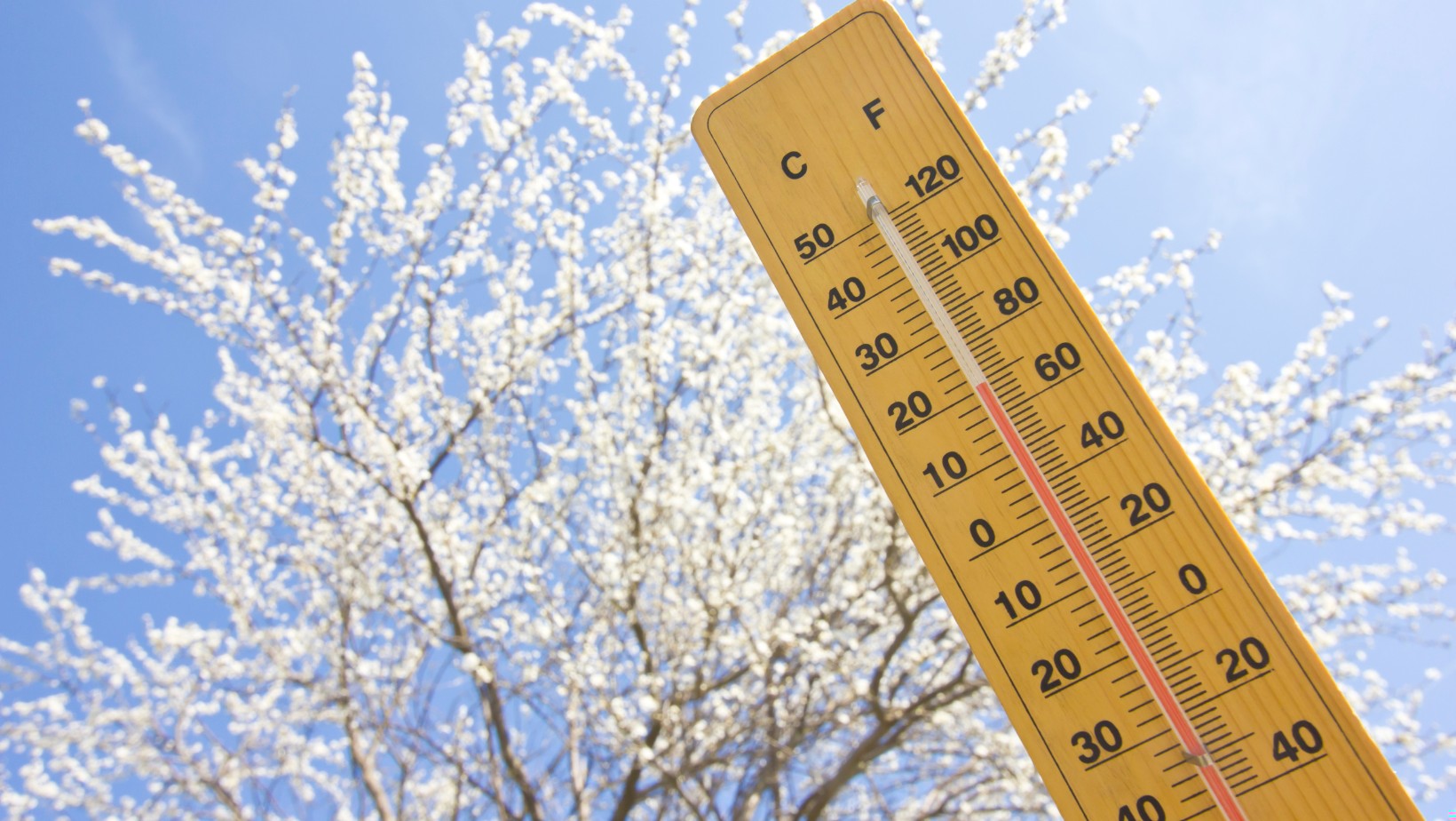 Zdjęcie Jaka pogoda na Majówkę 2025? Prognoza IMGW nie zostawia wątpliwości #1