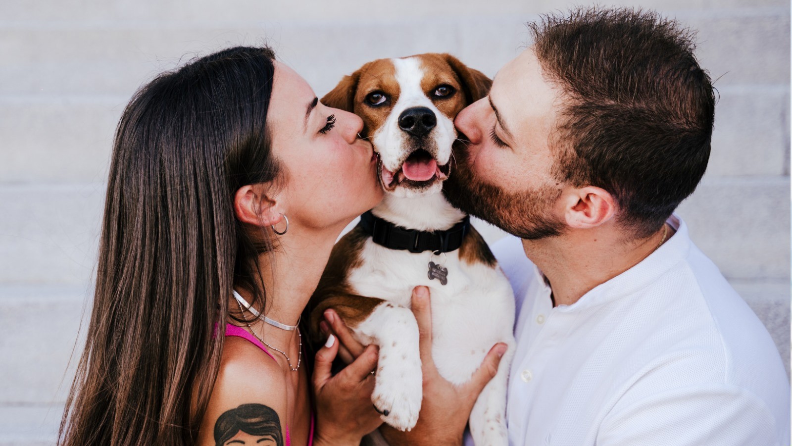 Zdjęcie Te znaki zodiaku bardziej kochają zwierzęta niż ludzi #1