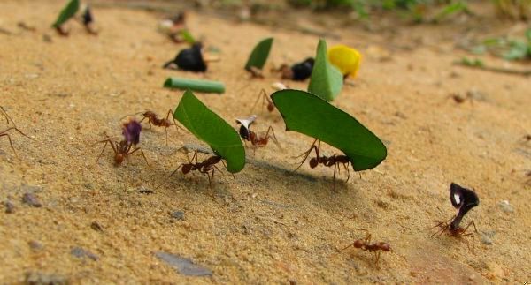 Człowiek może udźwignąć dużo uczuć na swoich barkach, ogromne ilości, …