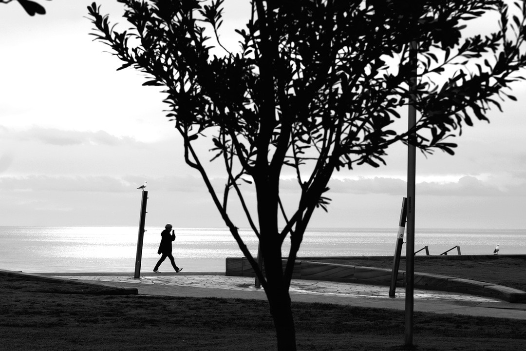 Kto lubi miód, nie powinien bać się pszczół.