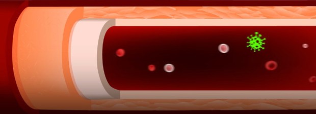 Zdjęcie Zastanawiałeś się nad wyglądem ludzi za tysiąc lat? Zmiany mogą być niesamowite! #3