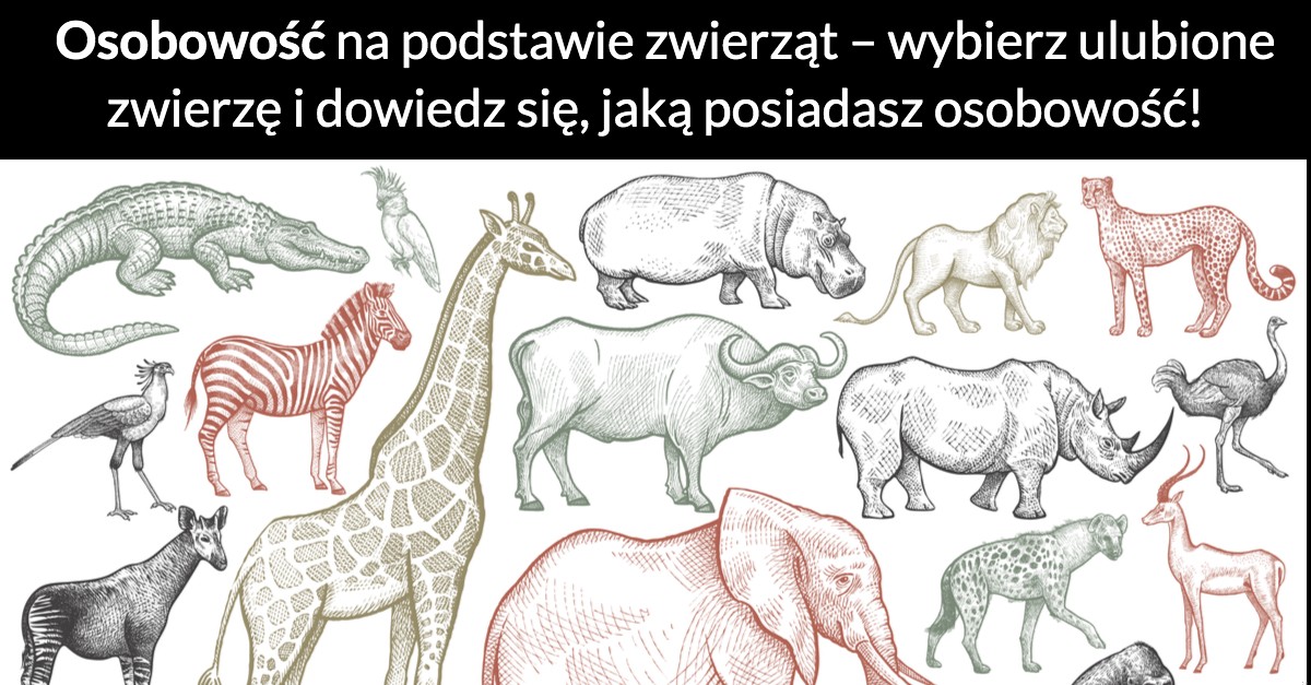 Osobowość na podstawie zwierząt – wybierz ulubione zwierzę i dowiedz się, jaką posiadasz osobowość!