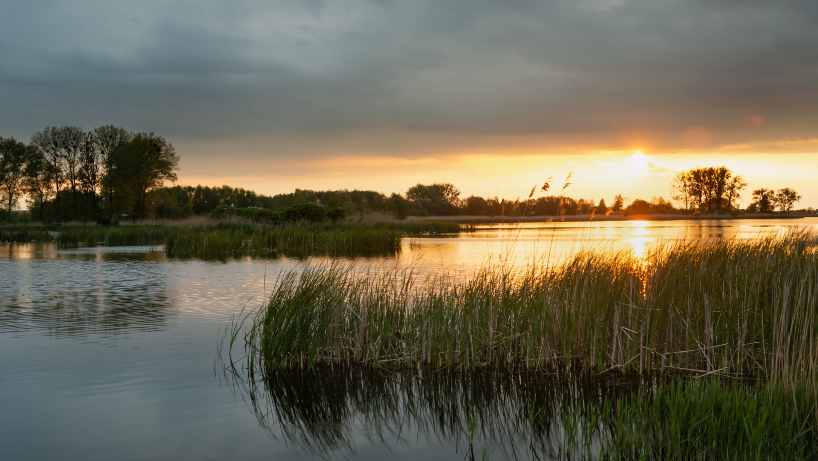 „Jeszcze nie czas szepnęło życie, cierpliwości dodało serce”