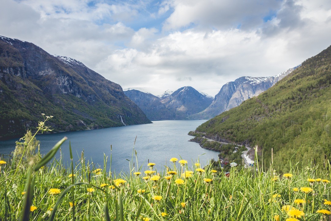 Poezja, podobnie jak życie, jest sama dla siebie usprawiedliwieniem.