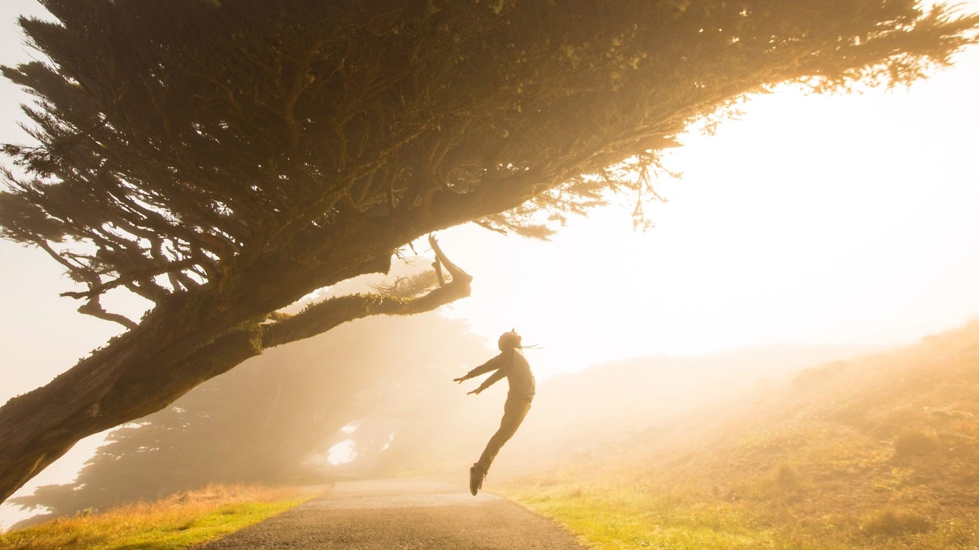 Euforia – krótko o emocjach