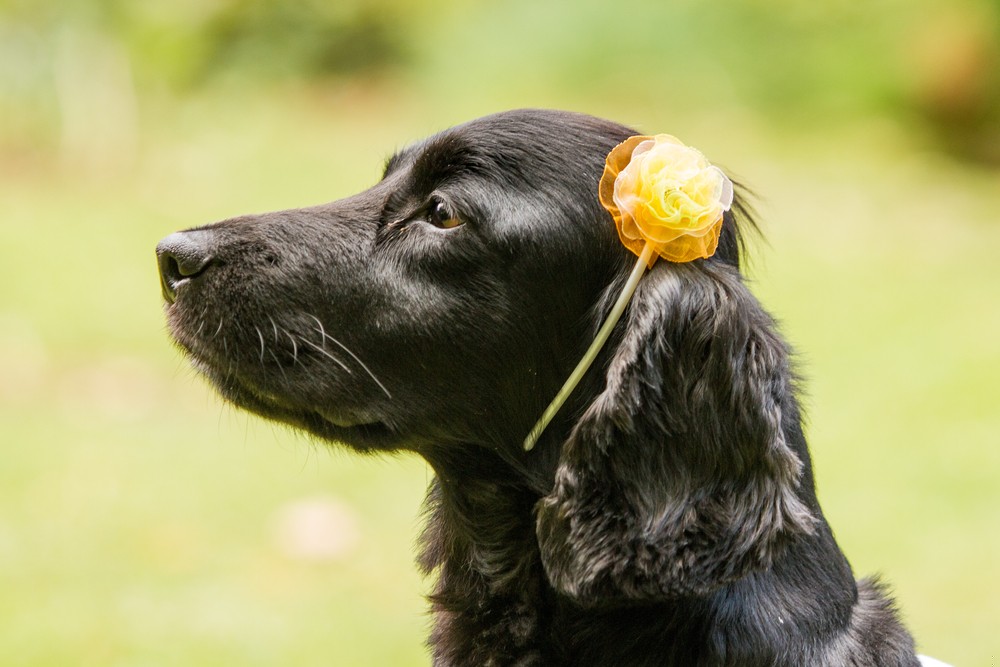 Pieniądze ułatwiają życie, ale są niczym, jeśli zdobywając je, zaniedbujesz …