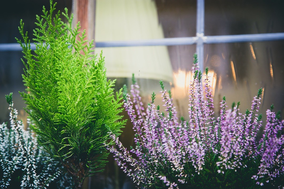 Kiedy żyjemy razem z ludźmi, nie dostrzegamy w nich zmian, …