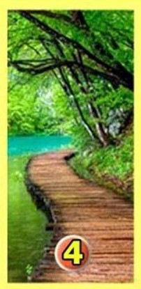 Zdjęcie Psychotest – dowiedz się kilka ciekawostek na swój temat wybierając jedną z dróg! #5