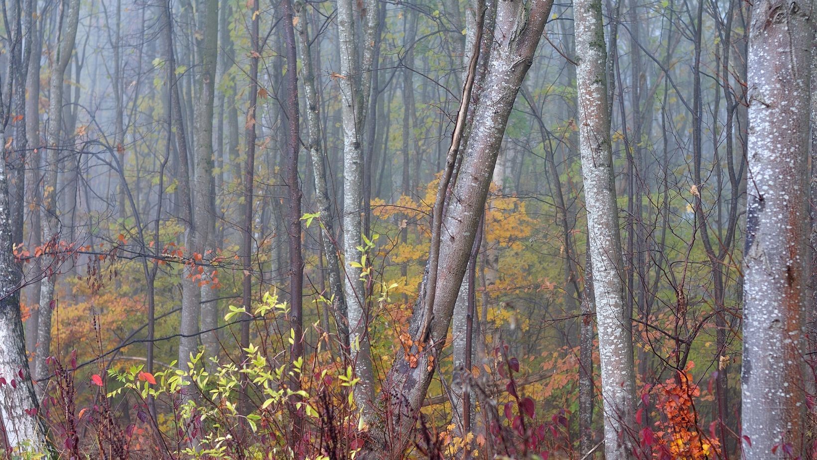 Antycyklon Xina nadciąga nad Polskę! Niesie ze sobą niewiarygodne zmiany