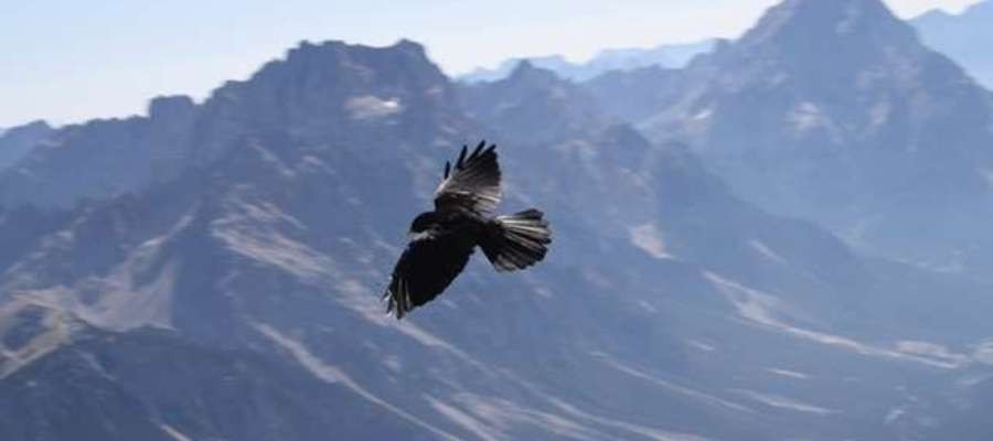 I poznacie prawdę, a prawda da wam wolność.