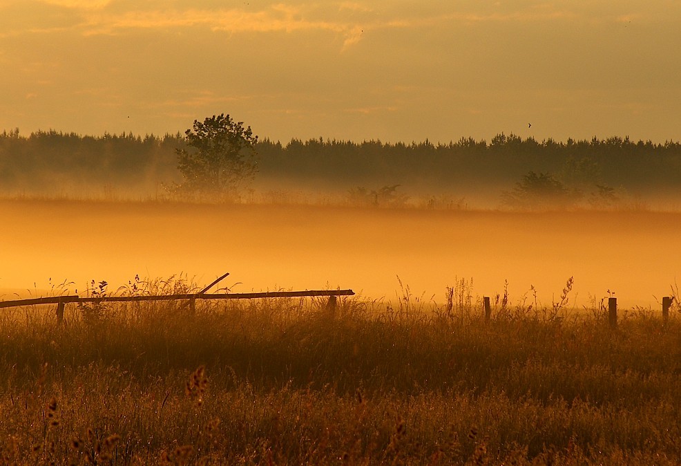 Rankiem otwieram oczy słońce już wstało i się uśmiecha, a …