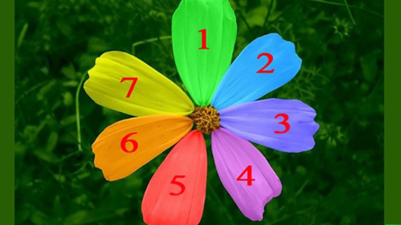 Chcesz wiedzieć czy twoje marzenie się spełni? Wybierz płatek kwiatka i poznaj odpowiedź!