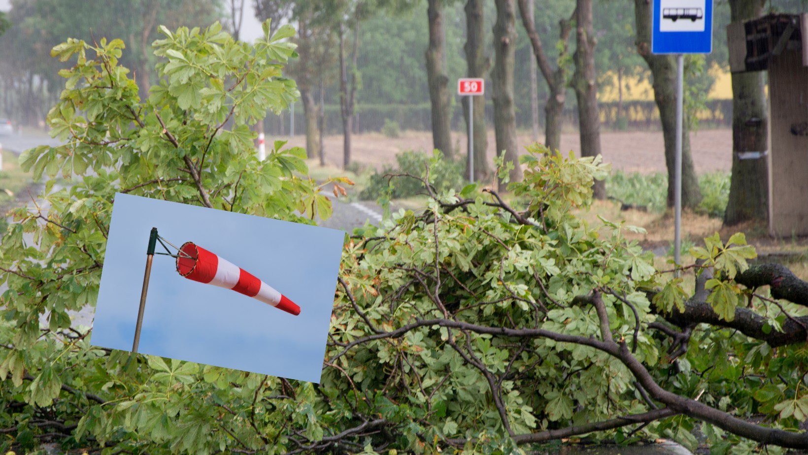 Polska znajdzie się w zasięgu cyklonu Martyna! Pogoda ulegnie radykalnym zmianom!