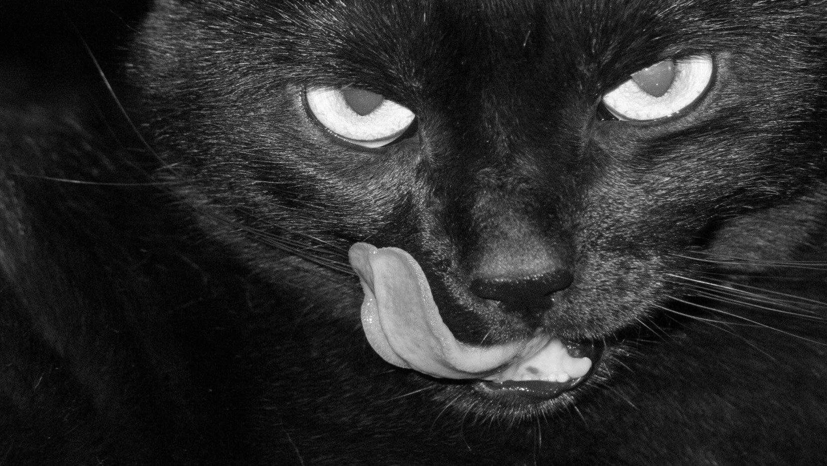 Pozwól nocy kochana życiu nosa utrzeć.