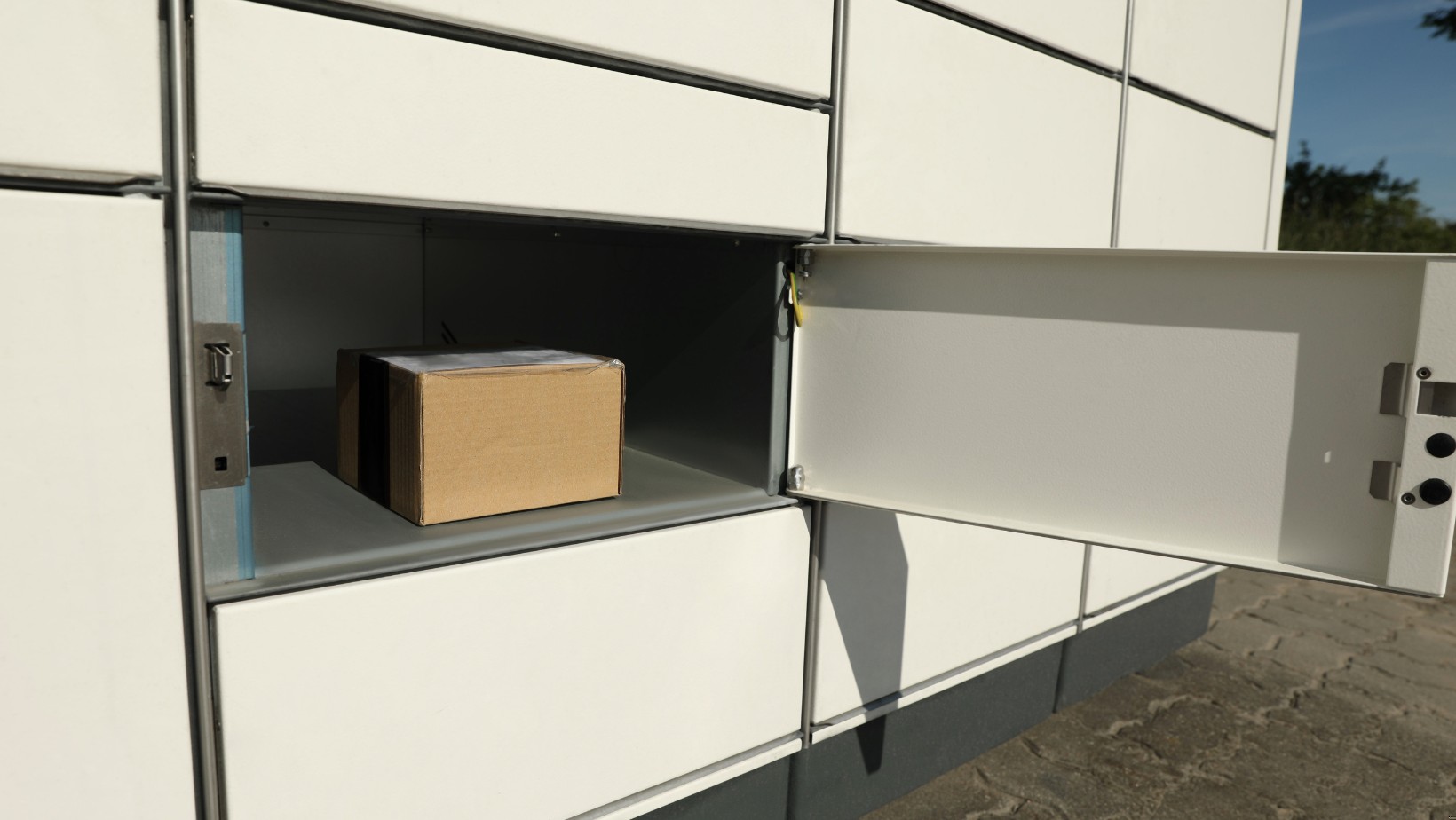 „Wśród nas żyją potwory” – Makabryczne odkrycie w Katowicach. Kot znaleziony w paczkomacie