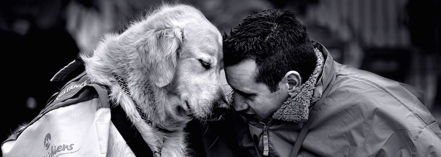 Jeżeli mój przyjaciel śmieje się, cieszę się, jeśli mój przyjaciel …