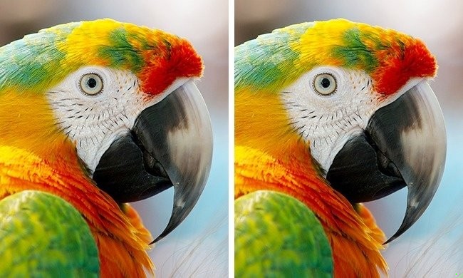 Zdjęcie Sprawdź czy jesteś spostrzegawczy. 
Znajdź jedną różnicę na tych 10 zdjęciach! #5