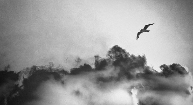 Bo każdy miewa takie sny z których nie chce się …