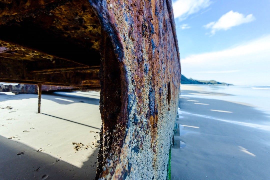 Śmierć sumienia nie ma, ale ma poczucie formy; jeżeli nie …