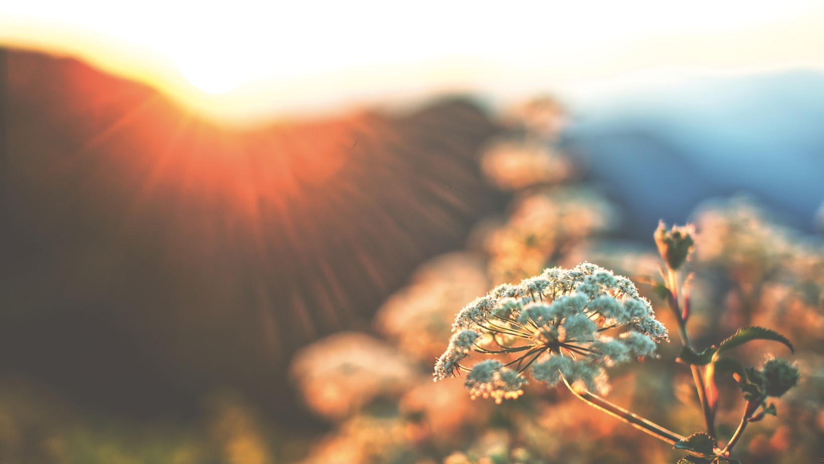 Zdjęcie Tajemnica szczęścia od kobiety, która przeżyła wszystko! [LIST] #1