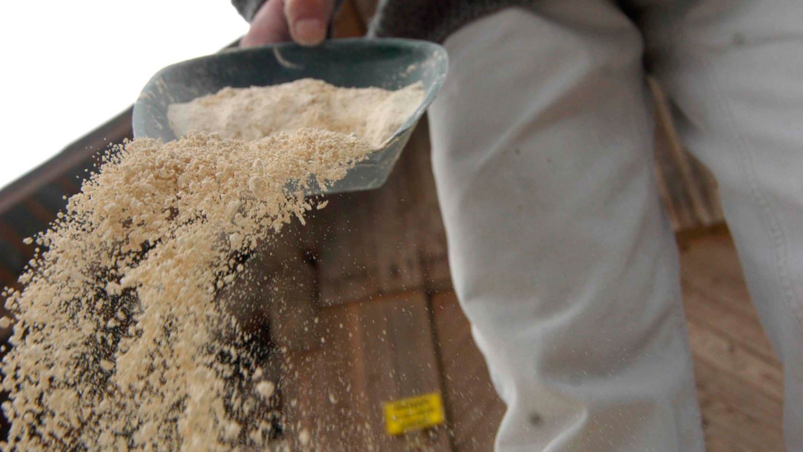 Ostrzeżenie dla właścicieli psów! Sól drogowa zagrożeniem dla zwierząt