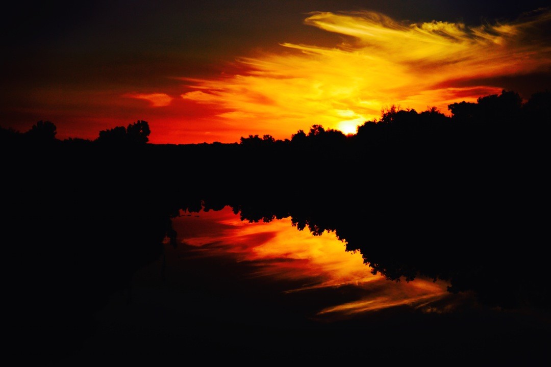 Jeśli chcesz poznać wierzchołek baobabu, poznaj najpierw jego korzenie.