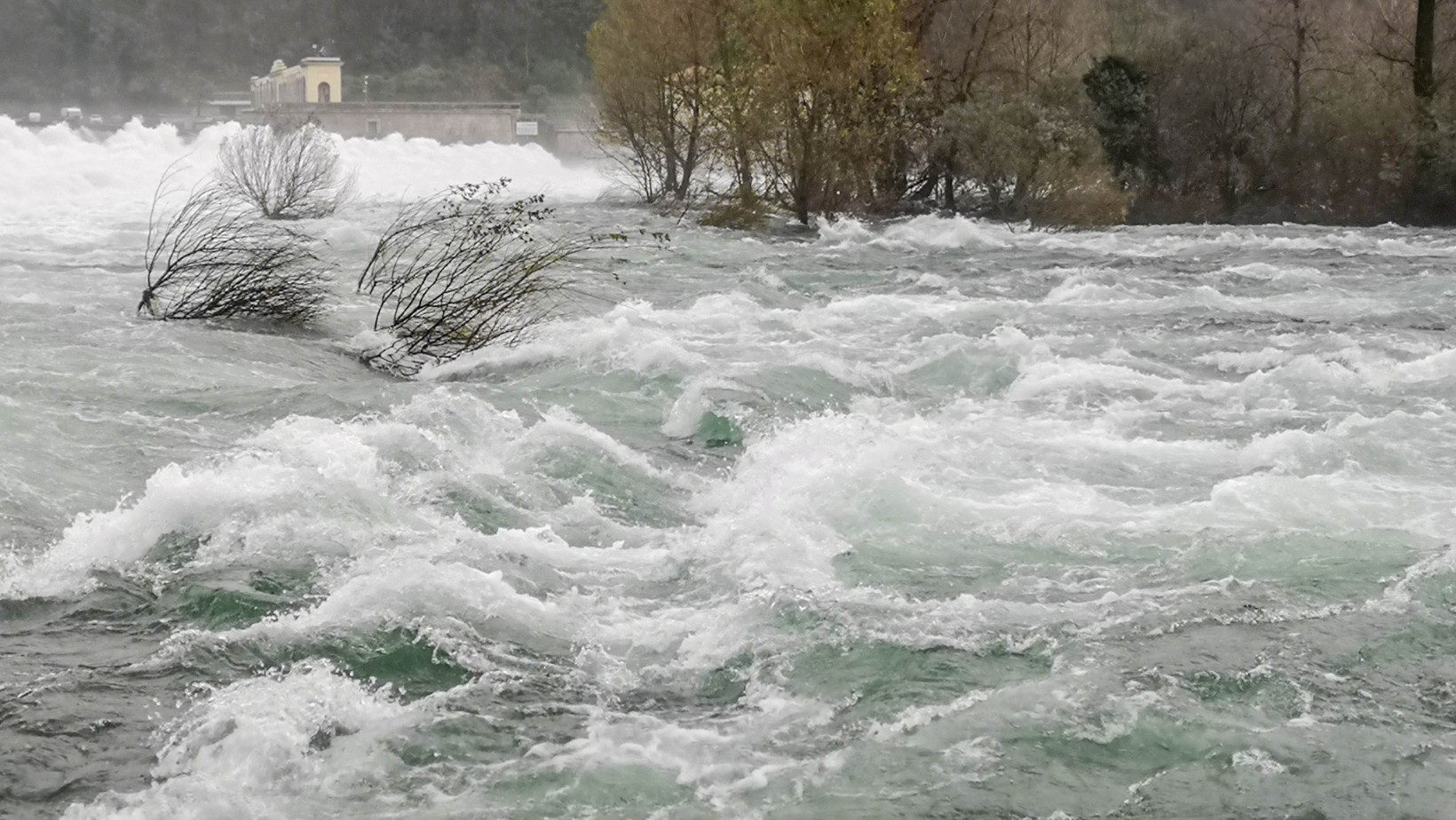 Budda pomaga powodzianom! Przekazał 1,5 mln złotych!