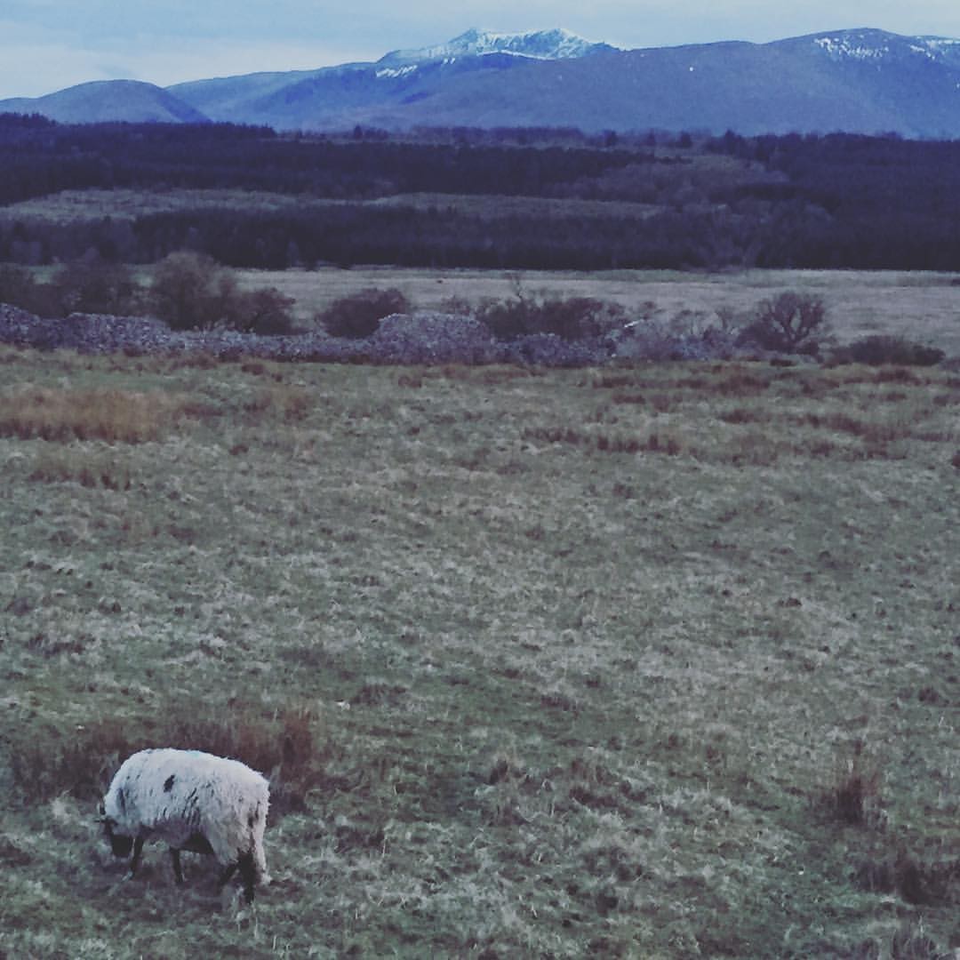 Normalność nie jest kwestią statystyki.