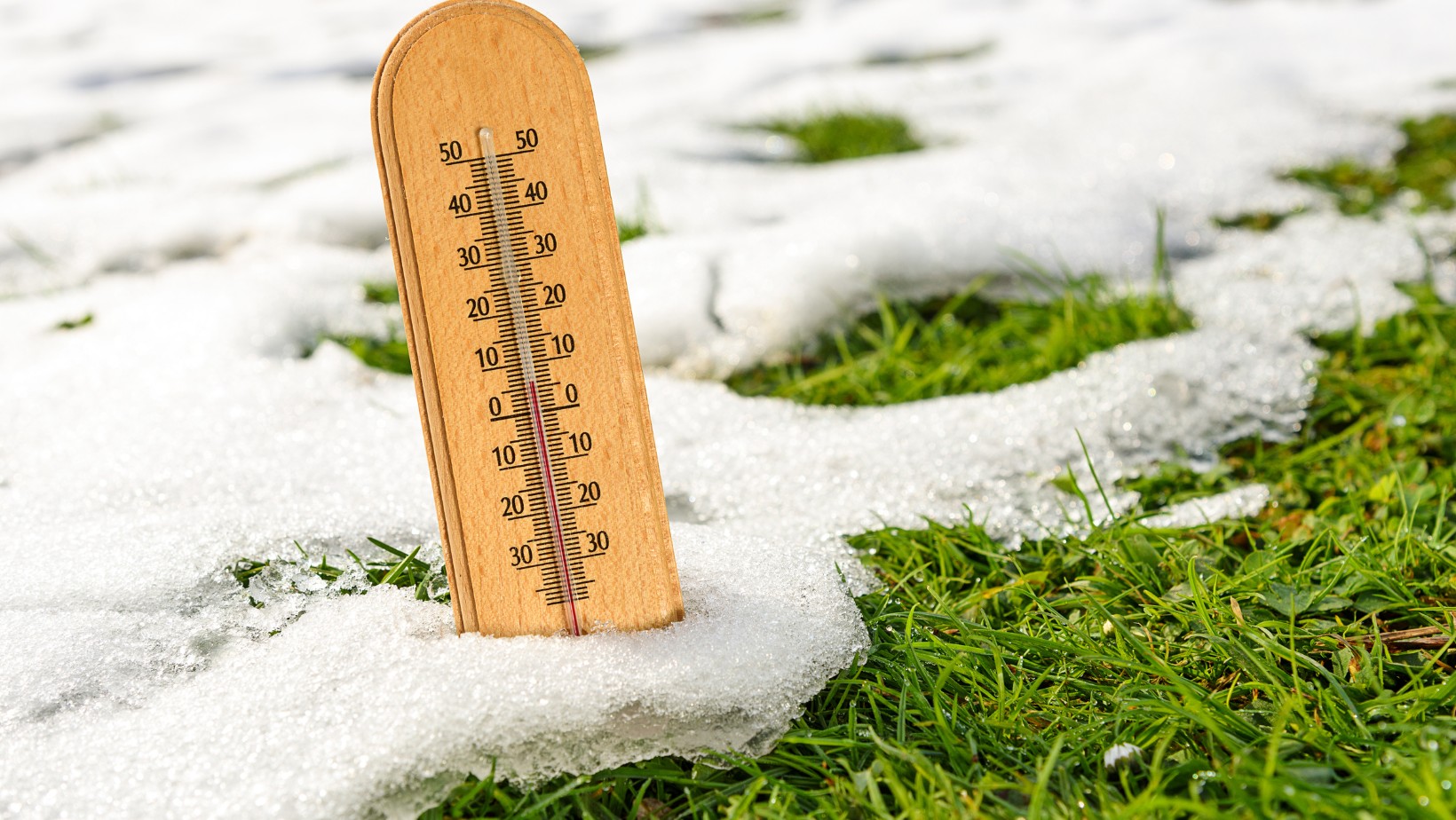 Wiosna za rogiem, a tu takie temperatury!? Jaka prognoza na pierwszy Dzień Wiosny?