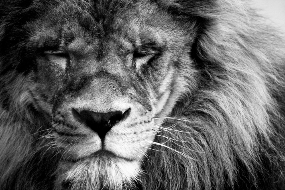 Bez względu na to, jak trudną ma się za sobą …