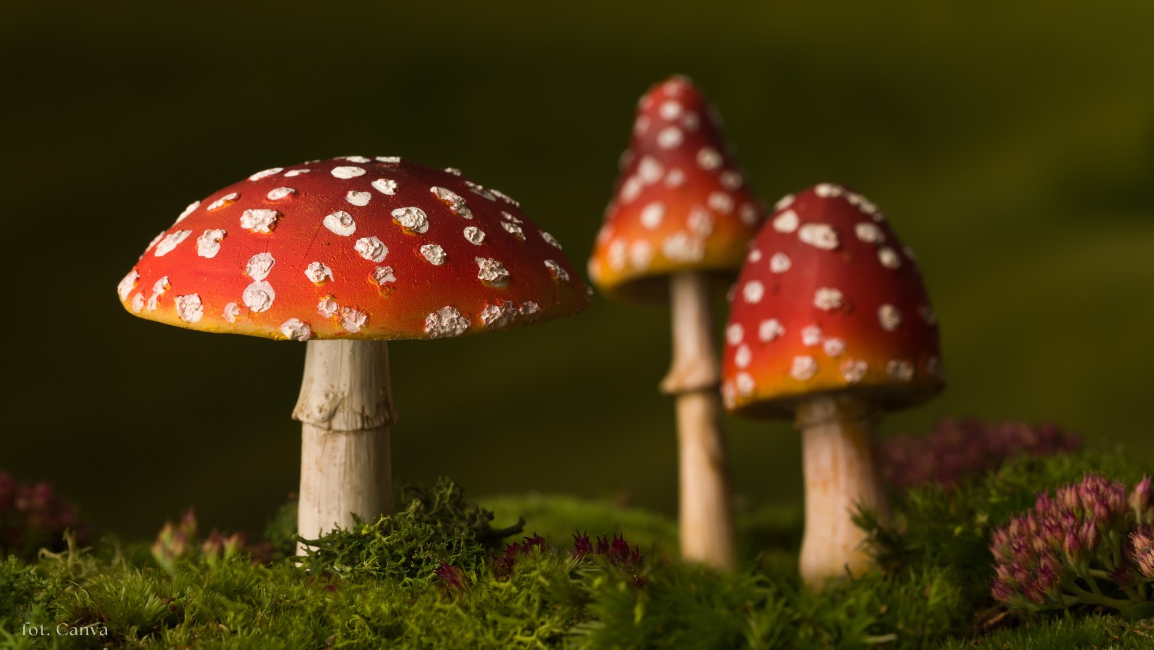 Zdjęcie Kilkadziesiąt osób trafiło do szpitala! Wszystko przez groźny trend! #1