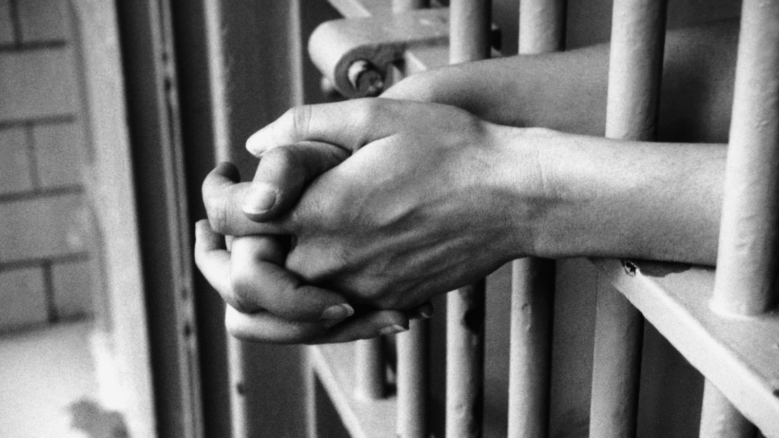 Ruszył głośny proces byłej wykładowczyni. Miała zabijać karpie bez ogłuszania