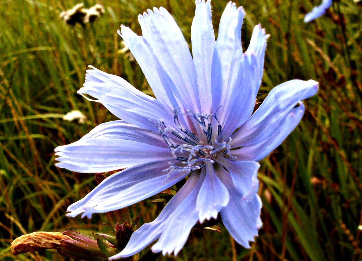 W życiu piękne są tylko chwile…