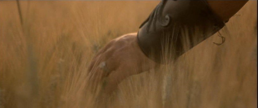 Życie jest snem, straszliwym snem.