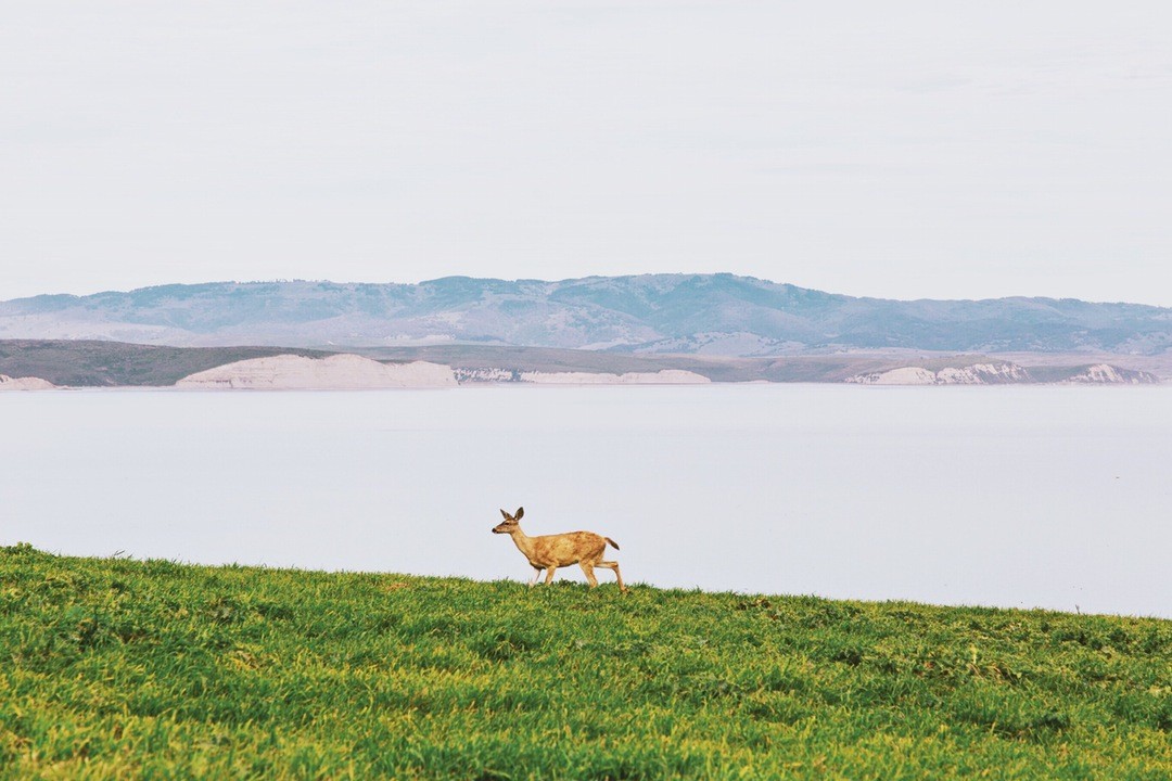 Każde światło na Brodwayu to złamane ludzkie serce…